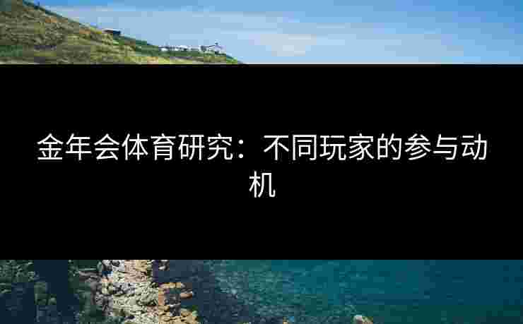 金年会体育研究：不同玩家的参与动机